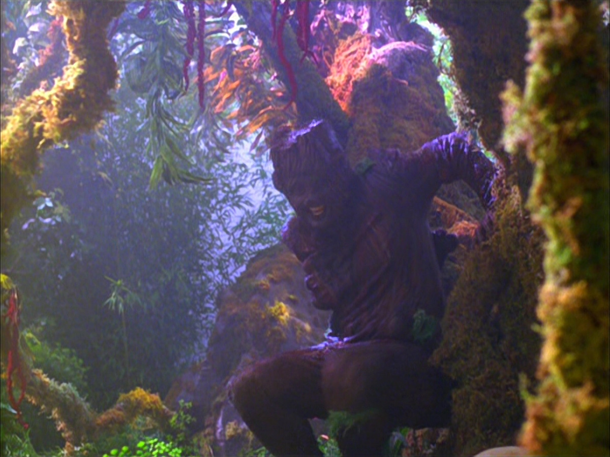extant_StarTrek_VOY_5x05-OnceUponATime_00194.jpg
