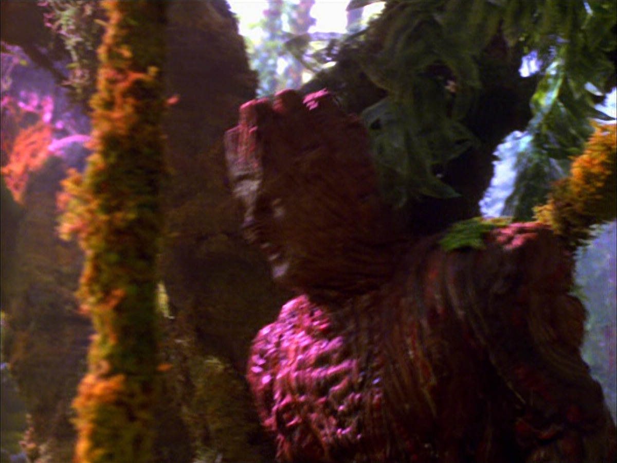 extant_StarTrek_VOY_5x05-OnceUponATime_00197.jpg