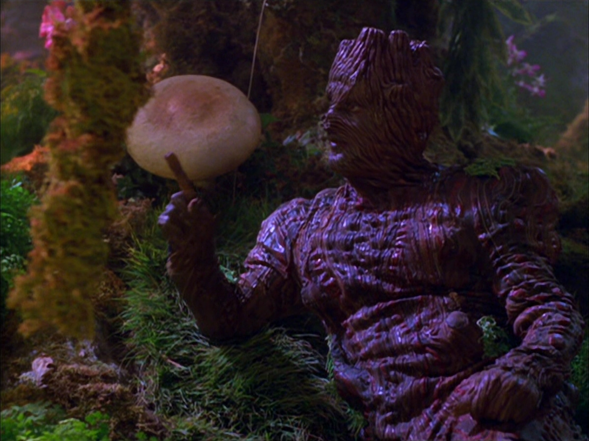 extant_StarTrek_VOY_5x05-OnceUponATime_00208.jpg