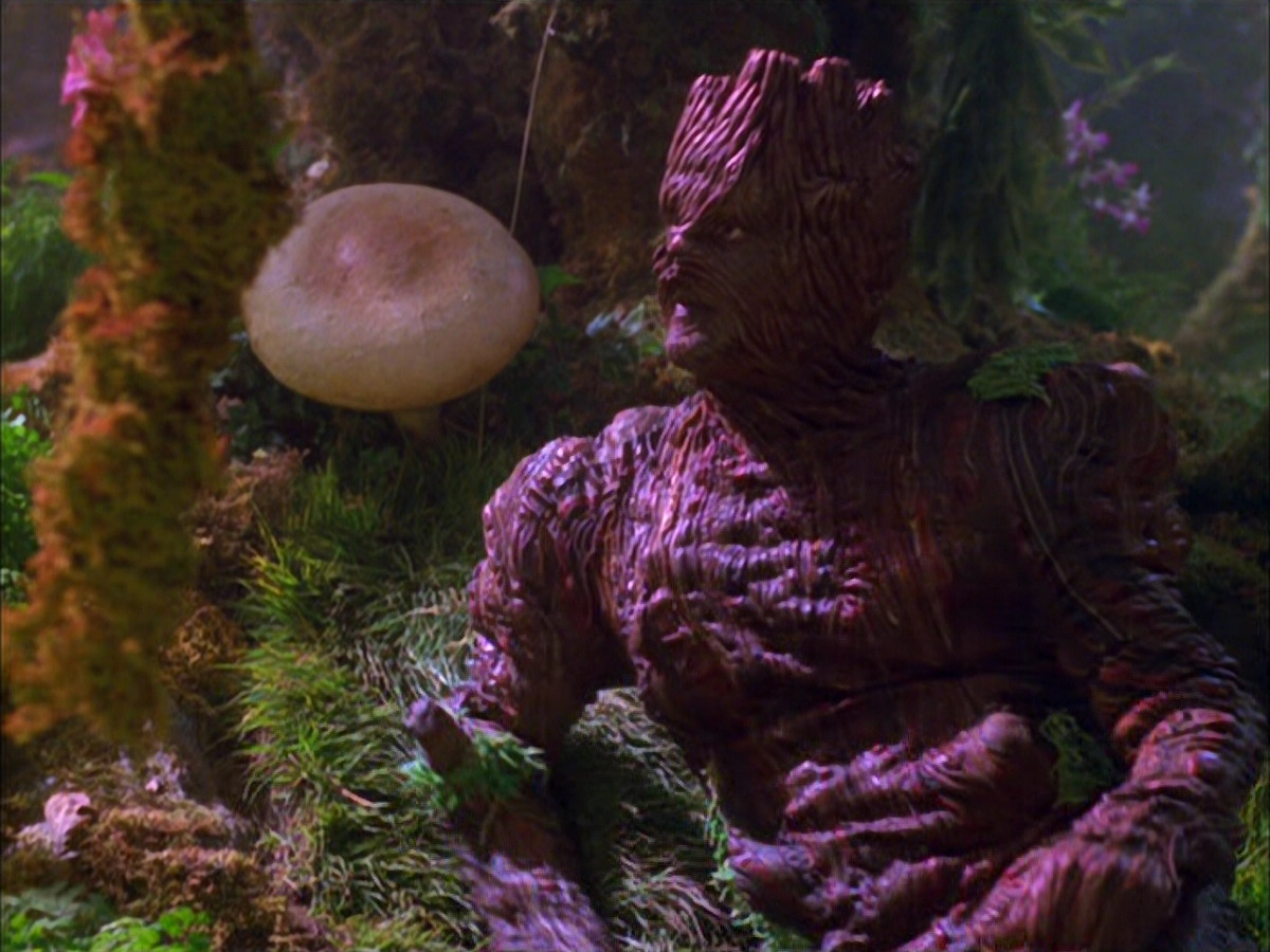 extant_StarTrek_VOY_5x05-OnceUponATime_00220.jpg