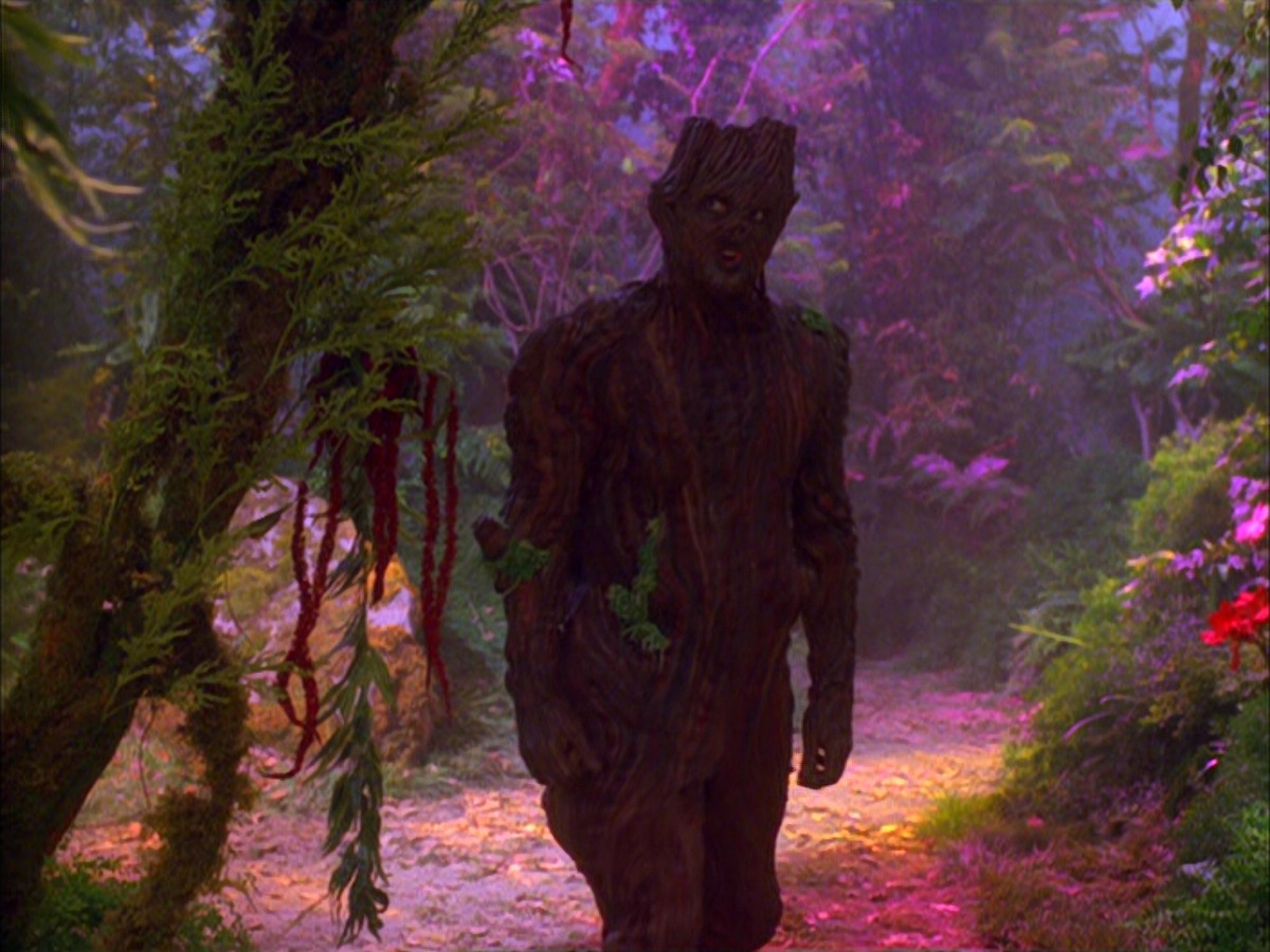 extant_StarTrek_VOY_5x05-OnceUponATime_00253.jpg