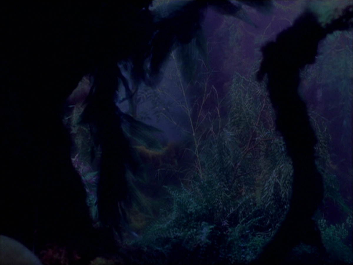 extant_StarTrek_VOY_5x05-OnceUponATime_02207.jpg