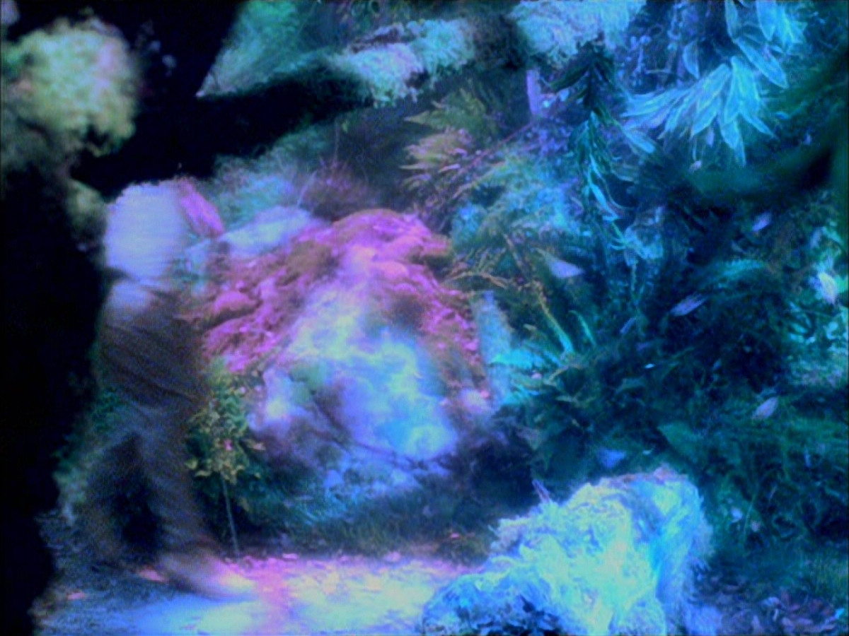 extant_StarTrek_VOY_5x05-OnceUponATime_02217.jpg