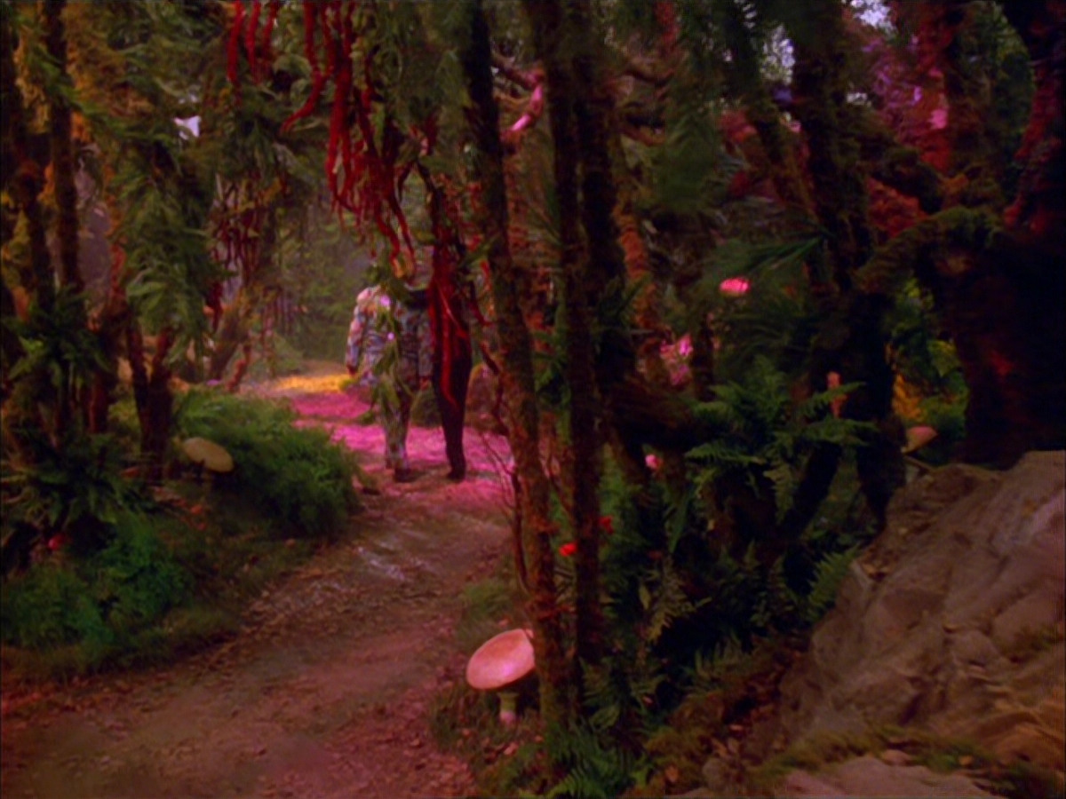 extant_StarTrek_VOY_5x05-OnceUponATime_03799.jpg