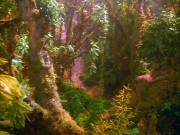 Filename=extant_StarTrek_VOY_5x05-OnceUponATime_00008.jpg
Filesize=314KiB
Dimensions=1200x900
Date added=Nov 12, 2019 extant_StarTrek_VOY_5x05-OnceUponATime_00008.jpg