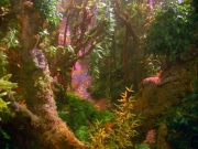 Filename=extant_StarTrek_VOY_5x05-OnceUponATime_00009.jpg
Filesize=309KiB
Dimensions=1200x900
Date added=Nov 12, 2019 extant_StarTrek_VOY_5x05-OnceUponATime_00009.jpg