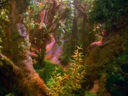 Filename=extant_StarTrek_VOY_5x05-OnceUponATime_00010.jpg
Filesize=303KiB
Dimensions=1200x900
Date added=Nov 12, 2019 extant_StarTrek_VOY_5x05-OnceUponATime_00010.jpg