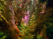 Filename=extant_StarTrek_VOY_5x05-OnceUponATime_00011.jpg
Filesize=309KiB
Dimensions=1200x900
Date added=Nov 12, 2019 extant_StarTrek_VOY_5x05-OnceUponATime_00011.jpg