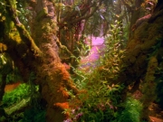 Filename=extant_StarTrek_VOY_5x05-OnceUponATime_00012.jpg
Filesize=317KiB
Dimensions=1200x900
Date added=Nov 12, 2019 extant_StarTrek_VOY_5x05-OnceUponATime_00012.jpg
