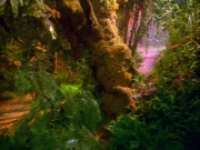 Filename=extant_StarTrek_VOY_5x05-OnceUponATime_00014.jpg
Filesize=298KiB
Dimensions=1200x900
Date added=Nov 12, 2019 extant_StarTrek_VOY_5x05-OnceUponATime_00014.jpg