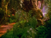 Filename=extant_StarTrek_VOY_5x05-OnceUponATime_00015.jpg
Filesize=286KiB
Dimensions=1200x900
Date added=Nov 12, 2019 extant_StarTrek_VOY_5x05-OnceUponATime_00015.jpg