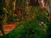 Filename=extant_StarTrek_VOY_5x05-OnceUponATime_00016.jpg
Filesize=283KiB
Dimensions=1200x900
Date added=Nov 12, 2019 extant_StarTrek_VOY_5x05-OnceUponATime_00016.jpg