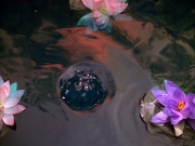 Filename=extant_StarTrek_VOY_5x05-OnceUponATime_00059.jpg
Filesize=220KiB
Dimensions=1200x900
Date added=Nov 12, 2019 extant_StarTrek_VOY_5x05-OnceUponATime_00059.jpg