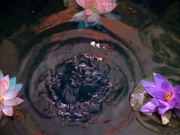 Filename=extant_StarTrek_VOY_5x05-OnceUponATime_00060.jpg
Filesize=264KiB
Dimensions=1200x900
Date added=Nov 12, 2019 extant_StarTrek_VOY_5x05-OnceUponATime_00060.jpg