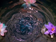 Filename=extant_StarTrek_VOY_5x05-OnceUponATime_00061.jpg
Filesize=294KiB
Dimensions=1200x900
Date added=Nov 12, 2019 extant_StarTrek_VOY_5x05-OnceUponATime_00061.jpg