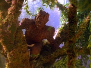 Filename=extant_StarTrek_VOY_5x05-OnceUponATime_00145.jpg
Filesize=310KiB
Dimensions=1200x900
Date added=Nov 12, 2019 extant_StarTrek_VOY_5x05-OnceUponATime_00145.jpg