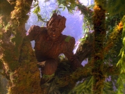 Filename=extant_StarTrek_VOY_5x05-OnceUponATime_00146.jpg
Filesize=314KiB
Dimensions=1200x900
Date added=Nov 12, 2019 extant_StarTrek_VOY_5x05-OnceUponATime_00146.jpg