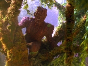 Filename=extant_StarTrek_VOY_5x05-OnceUponATime_00151.jpg
Filesize=313KiB
Dimensions=1200x900
Date added=Nov 12, 2019 extant_StarTrek_VOY_5x05-OnceUponATime_00151.jpg