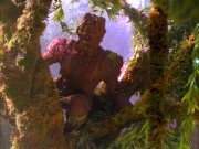 Filename=extant_StarTrek_VOY_5x05-OnceUponATime_00153.jpg
Filesize=317KiB
Dimensions=1200x900
Date added=Nov 12, 2019 extant_StarTrek_VOY_5x05-OnceUponATime_00153.jpg
