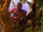 Filename=extant_StarTrek_VOY_5x05-OnceUponATime_00161.jpg
Filesize=314KiB
Dimensions=1200x900
Date added=Nov 12, 2019 extant_StarTrek_VOY_5x05-OnceUponATime_00161.jpg