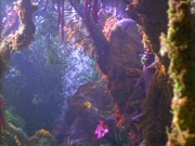 Filename=extant_StarTrek_VOY_5x05-OnceUponATime_00192.jpg
Filesize=293KiB
Dimensions=1200x900
Date added=Nov 12, 2019 extant_StarTrek_VOY_5x05-OnceUponATime_00192.jpg