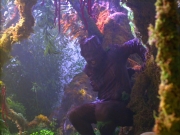 Filename=extant_StarTrek_VOY_5x05-OnceUponATime_00194.jpg
Filesize=272KiB
Dimensions=1200x900
Date added=Nov 12, 2019 extant_StarTrek_VOY_5x05-OnceUponATime_00194.jpg