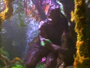 Filename=extant_StarTrek_VOY_5x05-OnceUponATime_00195.jpg
Filesize=262KiB
Dimensions=1200x900
Date added=Nov 12, 2019 extant_StarTrek_VOY_5x05-OnceUponATime_00195.jpg