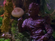 Filename=extant_StarTrek_VOY_5x05-OnceUponATime_00209.jpg
Filesize=264KiB
Dimensions=1200x900
Date added=Nov 12, 2019 extant_StarTrek_VOY_5x05-OnceUponATime_00209.jpg