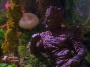 Filename=extant_StarTrek_VOY_5x05-OnceUponATime_00210.jpg
Filesize=266KiB
Dimensions=1200x900
Date added=Nov 12, 2019 extant_StarTrek_VOY_5x05-OnceUponATime_00210.jpg