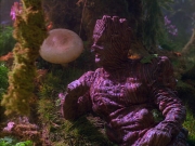 Filename=extant_StarTrek_VOY_5x05-OnceUponATime_00211.jpg
Filesize=267KiB
Dimensions=1200x900
Date added=Nov 12, 2019 extant_StarTrek_VOY_5x05-OnceUponATime_00211.jpg