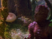 Filename=extant_StarTrek_VOY_5x05-OnceUponATime_00221.jpg
Filesize=225KiB
Dimensions=1200x900
Date added=Nov 12, 2019 extant_StarTrek_VOY_5x05-OnceUponATime_00221.jpg