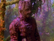 Filename=extant_StarTrek_VOY_5x05-OnceUponATime_00236.jpg
Filesize=271KiB
Dimensions=1200x900
Date added=Nov 12, 2019 extant_StarTrek_VOY_5x05-OnceUponATime_00236.jpg