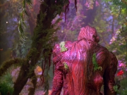 Filename=extant_StarTrek_VOY_5x05-OnceUponATime_00238.jpg
Filesize=280KiB
Dimensions=1200x900
Date added=Nov 12, 2019 extant_StarTrek_VOY_5x05-OnceUponATime_00238.jpg