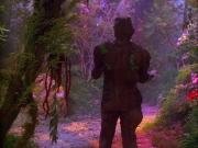 Filename=extant_StarTrek_VOY_5x05-OnceUponATime_00250.jpg
Filesize=281KiB
Dimensions=1200x900
Date added=Nov 12, 2019 extant_StarTrek_VOY_5x05-OnceUponATime_00250.jpg