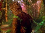 Filename=extant_StarTrek_VOY_5x05-OnceUponATime_01584.jpg
Filesize=251KiB
Dimensions=1200x900
Date added=Nov 12, 2019 extant_StarTrek_VOY_5x05-OnceUponATime_01584.jpg