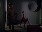 Filename=extant_StarTrek_VOY_5x05-OnceUponATime_02089.jpg
Filesize=132KiB
Dimensions=1200x900
Date added=Nov 12, 2019 extant_StarTrek_VOY_5x05-OnceUponATime_02089.jpg