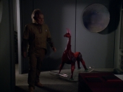 Filename=extant_StarTrek_VOY_5x05-OnceUponATime_02094.jpg
Filesize=135KiB
Dimensions=1200x900
Date added=Nov 12, 2019 extant_StarTrek_VOY_5x05-OnceUponATime_02094.jpg