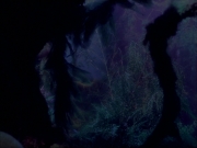 Filename=extant_StarTrek_VOY_5x05-OnceUponATime_02207.jpg
Filesize=145KiB
Dimensions=1200x900
Date added=Nov 12, 2019 extant_StarTrek_VOY_5x05-OnceUponATime_02207.jpg