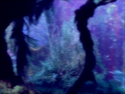Filename=extant_StarTrek_VOY_5x05-OnceUponATime_02208.jpg
Filesize=209KiB
Dimensions=1200x900
Date added=Nov 12, 2019 extant_StarTrek_VOY_5x05-OnceUponATime_02208.jpg