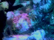 Filename=extant_StarTrek_VOY_5x05-OnceUponATime_02217.jpg
Filesize=296KiB
Dimensions=1200x900
Date added=Nov 12, 2019 extant_StarTrek_VOY_5x05-OnceUponATime_02217.jpg