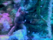 Filename=extant_StarTrek_VOY_5x05-OnceUponATime_02218.jpg
Filesize=279KiB
Dimensions=1200x900
Date added=Nov 12, 2019 extant_StarTrek_VOY_5x05-OnceUponATime_02218.jpg