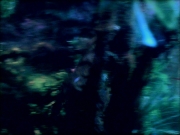 Filename=extant_StarTrek_VOY_5x05-OnceUponATime_02221.jpg
Filesize=207KiB
Dimensions=1200x900
Date added=Nov 12, 2019 extant_StarTrek_VOY_5x05-OnceUponATime_02221.jpg