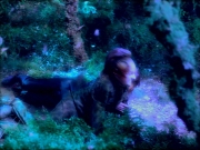 Filename=extant_StarTrek_VOY_5x05-OnceUponATime_02224.jpg
Filesize=312KiB
Dimensions=1200x900
Date added=Nov 12, 2019 extant_StarTrek_VOY_5x05-OnceUponATime_02224.jpg