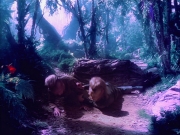 Filename=extant_StarTrek_VOY_5x05-OnceUponATime_02230.jpg
Filesize=308KiB
Dimensions=1200x900
Date added=Nov 12, 2019 extant_StarTrek_VOY_5x05-OnceUponATime_02230.jpg