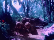 Filename=extant_StarTrek_VOY_5x05-OnceUponATime_02231.jpg
Filesize=302KiB
Dimensions=1200x900
Date added=Nov 12, 2019 extant_StarTrek_VOY_5x05-OnceUponATime_02231.jpg