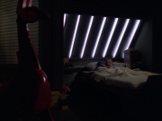 Filename=extant_StarTrek_VOY_5x05-OnceUponATime_02772.jpg
Filesize=134KiB
Dimensions=1200x900
Date added=Nov 12, 2019 extant_StarTrek_VOY_5x05-OnceUponATime_02772.jpg