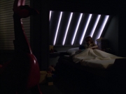Filename=extant_StarTrek_VOY_5x05-OnceUponATime_02784.jpg
Filesize=132KiB
Dimensions=1200x900
Date added=Nov 12, 2019 extant_StarTrek_VOY_5x05-OnceUponATime_02784.jpg