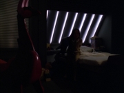Filename=extant_StarTrek_VOY_5x05-OnceUponATime_02788.jpg
Filesize=136KiB
Dimensions=1200x900
Date added=Nov 12, 2019 extant_StarTrek_VOY_5x05-OnceUponATime_02788.jpg