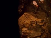 extant_StarTrek_VOY_5x05-OnceUponATime_03242.jpg