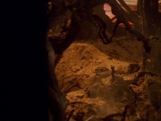 extant_StarTrek_VOY_5x05-OnceUponATime_03243.jpg